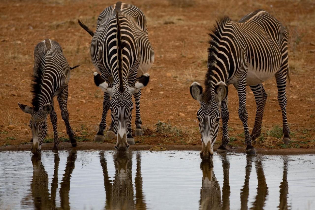 Samburu Sopa Lodge Archers Post Экстерьер фото